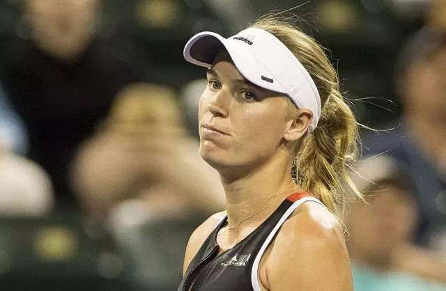 纸面实力的 纸面实力的