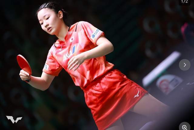 赢得了观众 赢得了观众