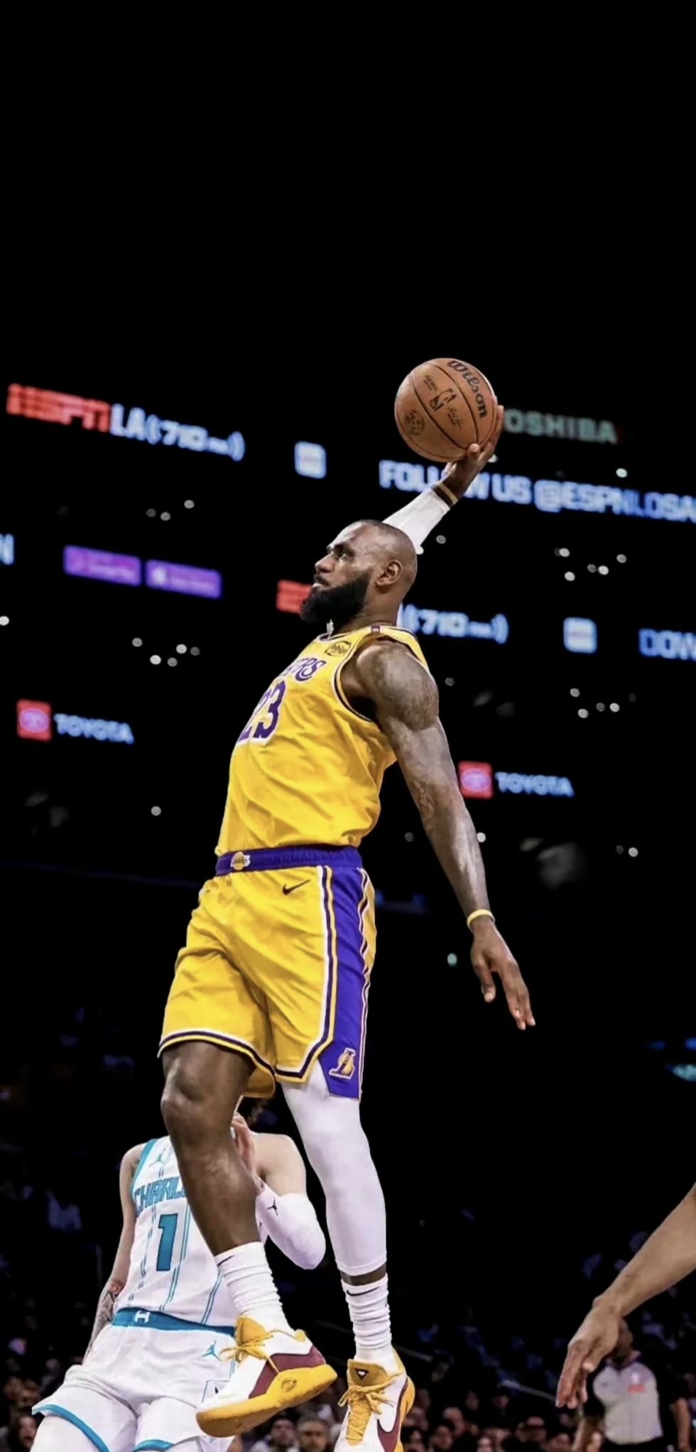 历史新高 历史新高