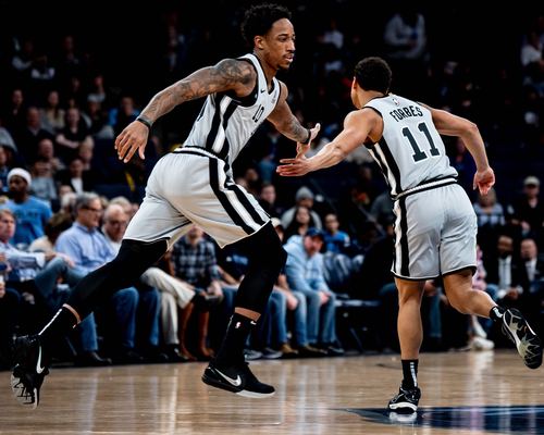 赛季可行 赛季可行